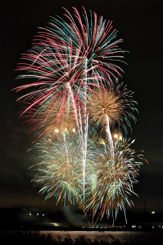 ��N�x�̉����i